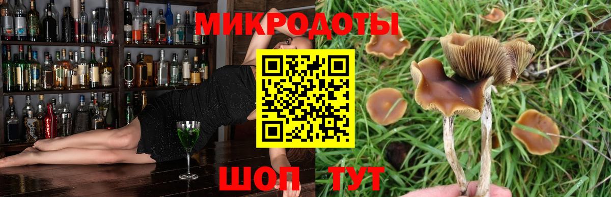 Псилоцибиновые грибы мицелий  Вход с VPN  Кимовск  Галлюциногенные грибы ЛСД 